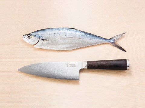 Criteria for choosing Deba knives